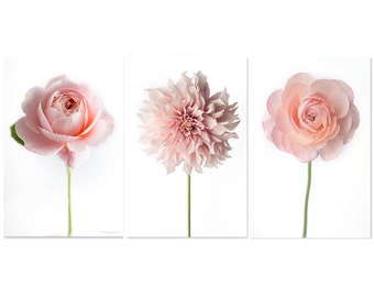 Flower Photographs - Ranunculus, Dahlia, Rose, Set of Three Floral Still Life Photos, Large Wall Art, Minimalist Home Decor,