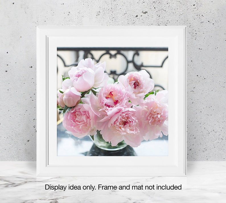 Paris Photography NEW Peonies on a Paris Balcony, 5x5 Paris Fine Art Photograph, French Home Decor, Wall Art, Paris Gallery Wall image 2