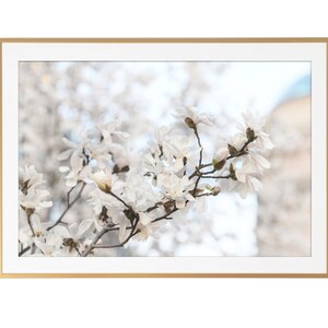 Paris Photography White Magnolias at Pont Neuf, Paris Art Print, Gallery Wall, Large Wall Art, French Home Decor image 4