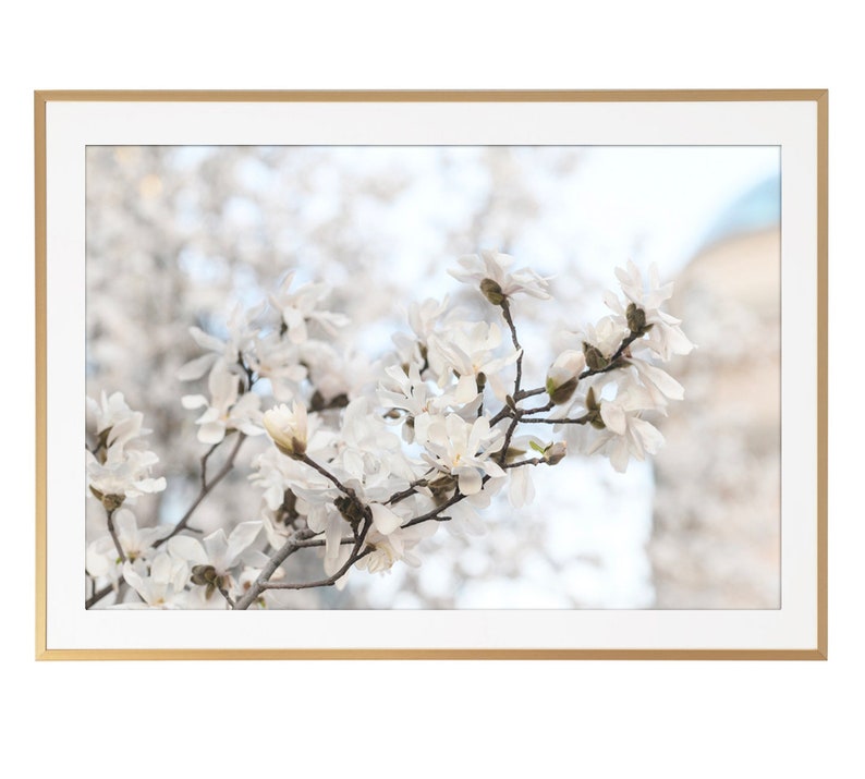 Paris Photography White Magnolias at Pont Neuf, Paris Art Print, Gallery Wall, Large Wall Art, French Home Decor image 4