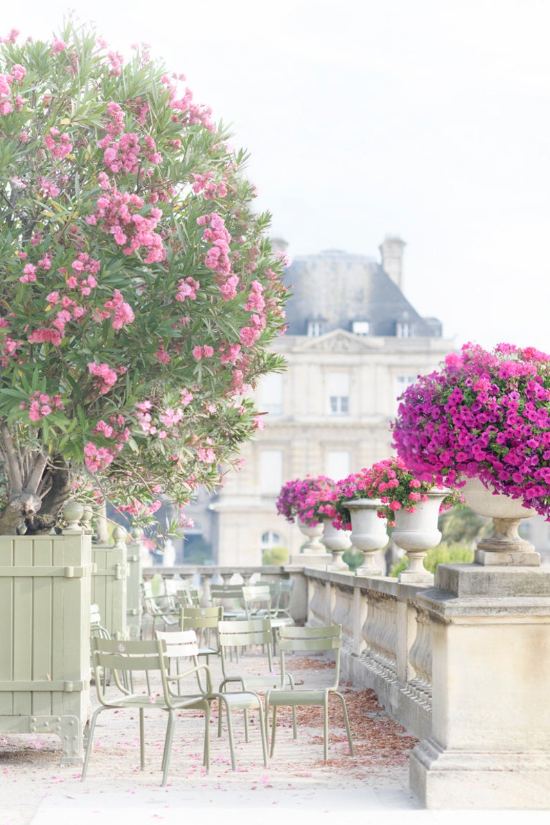 Paris Photography Late Summer at Luxembourg Gardens, French Home Decor, Gallery Wall, Large Wall Art, Pink Paris Art Print image 1