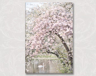 London Photograph on Canvas, Spring in St. James Park, England Travel Photo, Large Wall Art, Nursery Decor