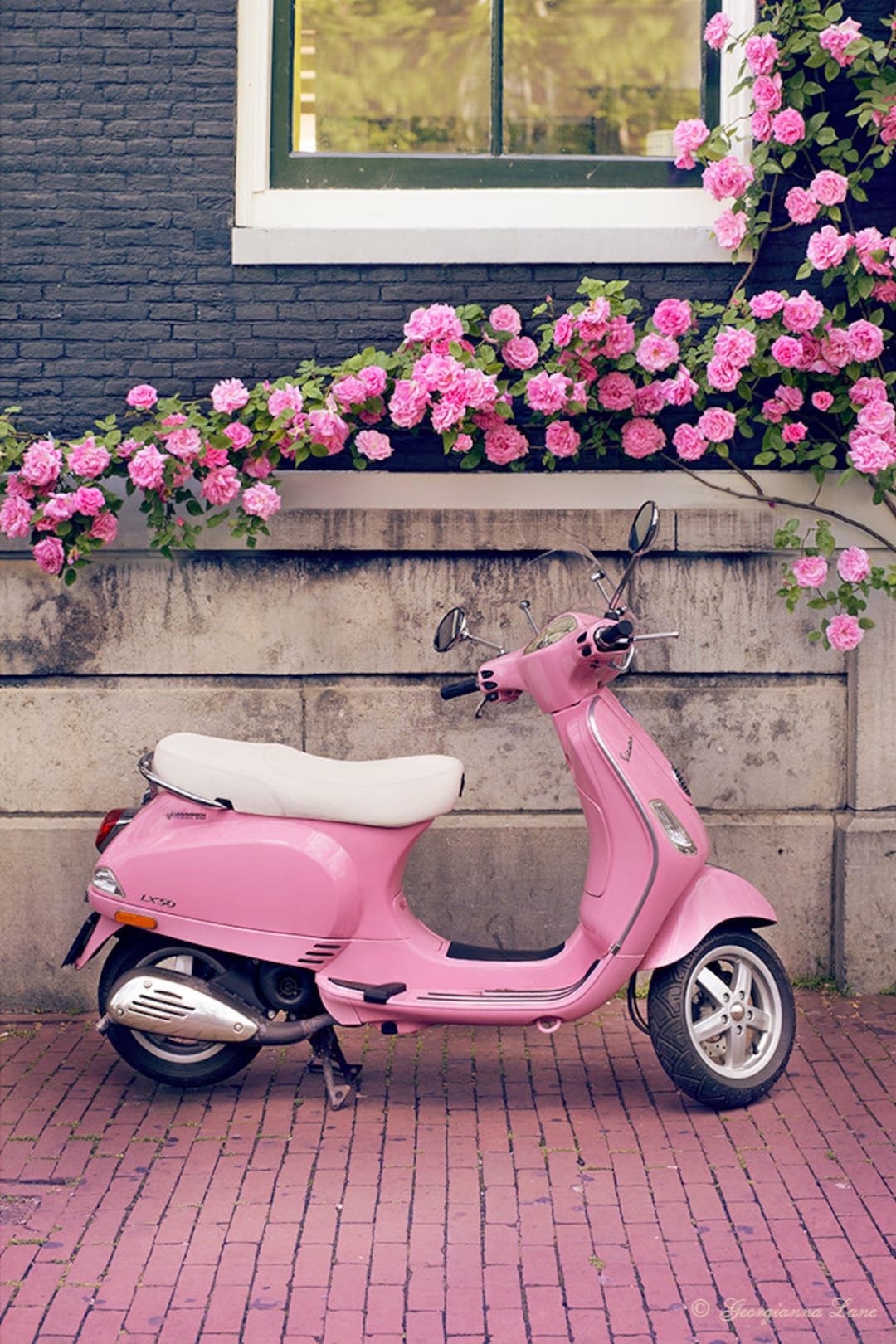 pink vespa