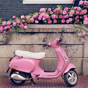 Europe Photography Pink Scooter and Roses, Fine Art Travel Photograph, Nursery Art, Large Wall Art image 1