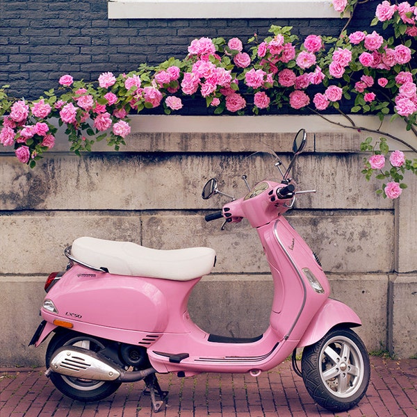 Europe Photography -  Pink Scooter and Roses, Fine Art Travel Photograph, Nursery Art, Large Wall Art