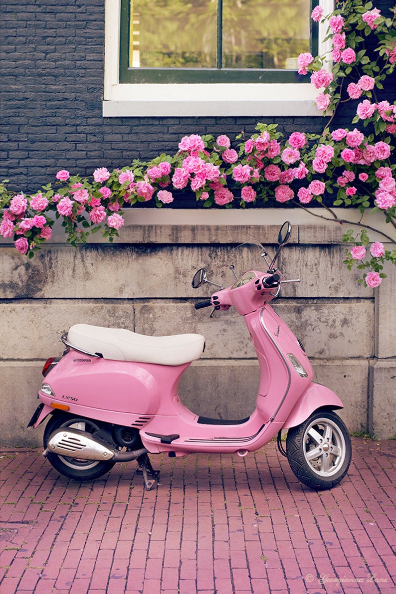 Europe Photography Pink Scooter and Roses, Fine Art Travel Photograph, Nursery Art, Large Wall Art image 1