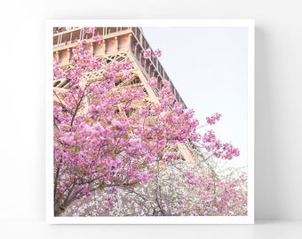 Paris Photography - Pink and White Blossoms at the Eiffel Tower, 5x5 Paris Fine Art Photograph, French Home Decor, Wall Art, Gallery Wall