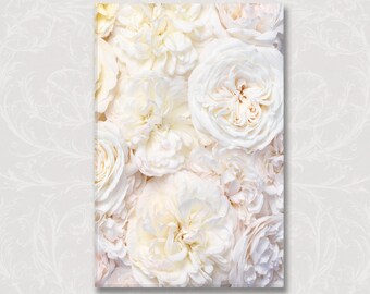 Cream Roses Photo on Canvas, Fine Art Photograph Printed on Gallery Wrapped Canvas, Large Wall Art, French Home Decor