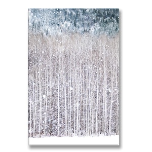 Winter Photo on Canvas, Birch Trees in Snow, Gallery Wrapped Canvas, Nature Photography, Woodland Decor, Large Wall Art