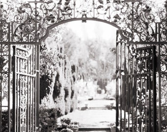 Italian Garden Photography - Il Giardino, Nature Photography, Black and White Wall Decor, Sepia Photograph, Large Wall Art