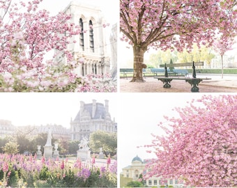 Puede incluir: Un collage de cuatro imágenes que muestran cerezos en flor de color rosa en París, Francia. Las imágenes muestran las flores contra un fondo de edificios históricos, incluyendo la Torre Eiffel y la Catedral de Notre Dame.