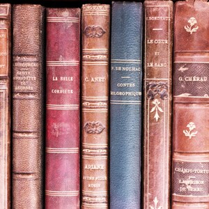 Paris Book Photography - Vintage French Leather Books, France Market Travel Photograph, Large Wall Art, French Home Decor
