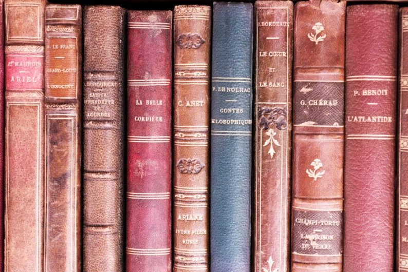 Paris Book Photography Vintage French Leather Books, France Market Travel Photograph, Large Wall Art, French Home Decor image 1