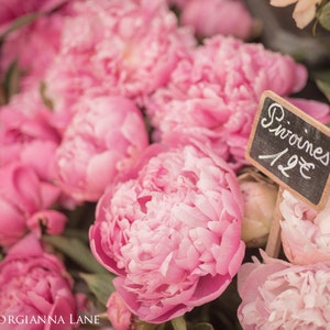 Paris Photography - Les Pivoines, Paris Peonies in Parisian Flower Market, France, French Fine Art Travel Photo, Wall Art, Home Decor