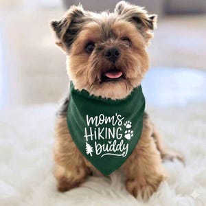 May include: A small, brown and tan dog wearing a dark green bandana. The bandana has white text that reads "Mom's Hiking Buddy" with paw prints and a small tree graphic. The dog is sitting on a white, fluffy surface.