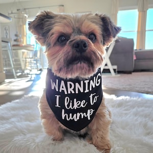Funny Dog Bandana: Warning I Like to Hump - Tie On Pet Scarf