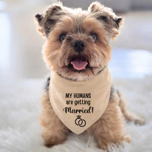 My Humans are Getting Married Dog Bandana: Natural Cotton Tie on Wedding Photo Prop