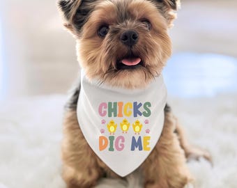 May include: A small dog wearing a white bandana with the text "CHICKS DIG ME" in colorful letters. The bandana also features images of yellow chicks and paw prints. The dog has brown and black fur and is sitting on a white surface.