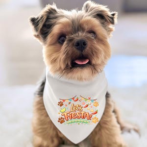 May include: A small Yorkshire Terrier dog wearing a white triangular pet bandana. The bandana features a colorful graphic with the text Let's FIESTA! surrounded by illustrations of chili peppers, lime wedges, tortilla chips, and paw prints.