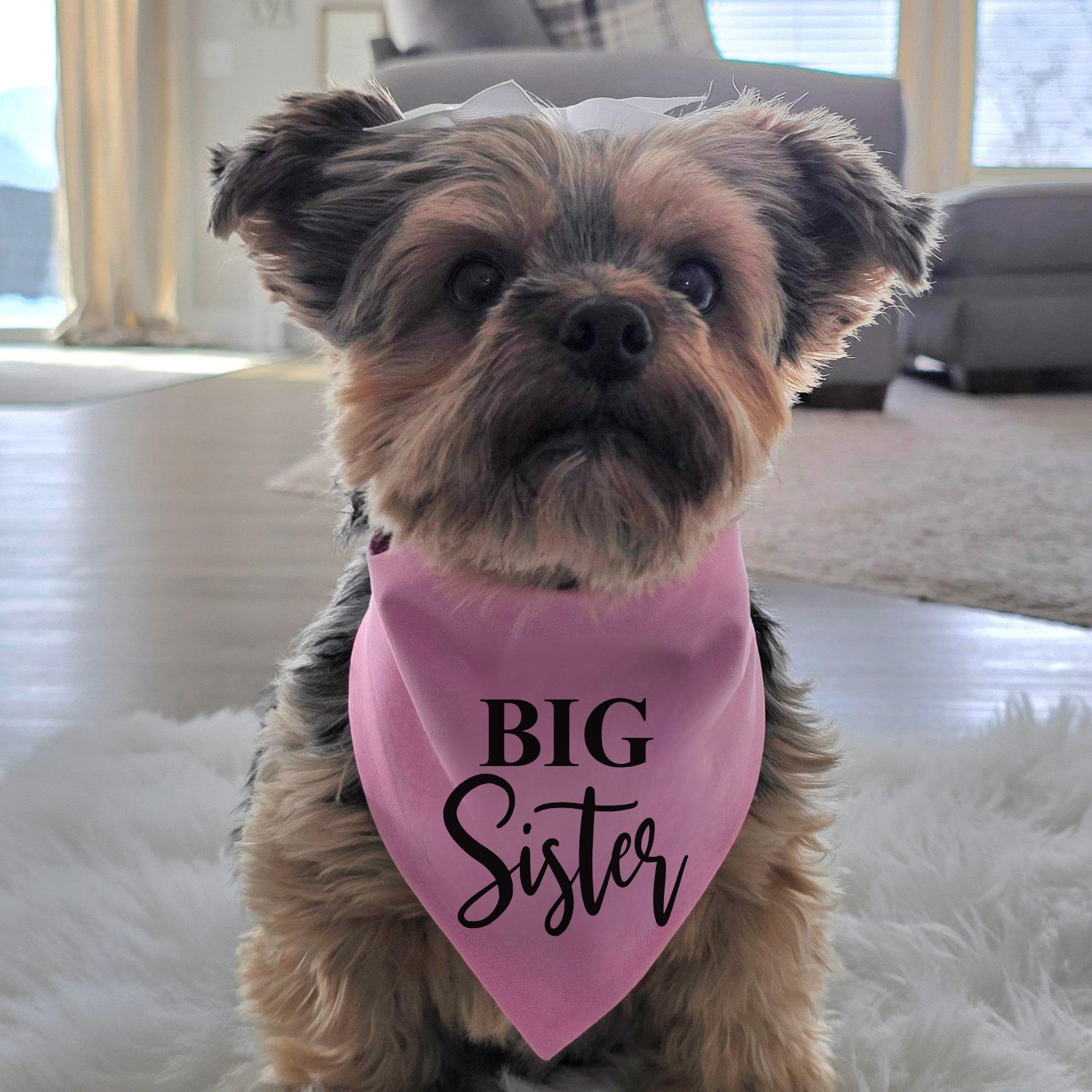 Big Sister Shirt For Cat Big Sister Dog Bandana, Purple Dog