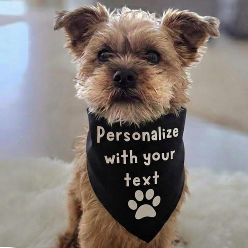 Personalize with your text dog bandana with a paw print at the bottom.  The dog is wearing a black tie on bandana with white font.