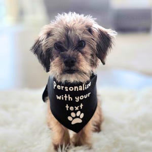 Black tie on Personalized dig bandana with white print and a paw print at the bottom.