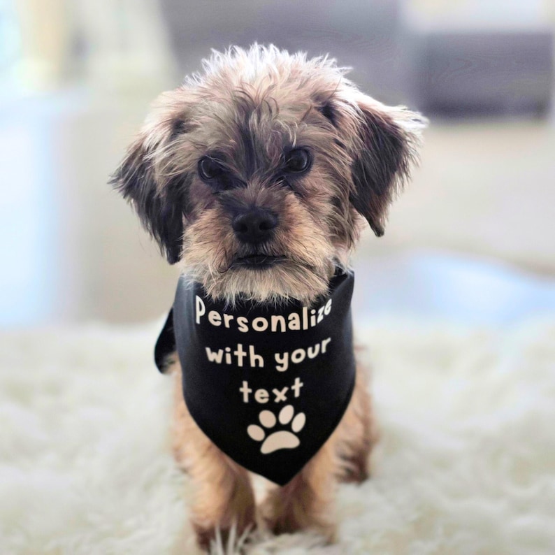Black tie on Personalized dig bandana with white print and a paw print at the bottom.