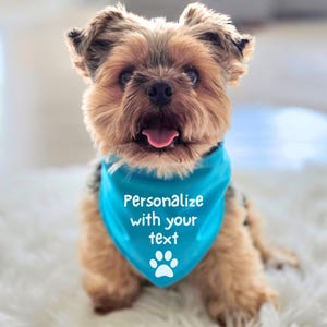 May include: A small, brown and tan Yorkshire Terrier dog wearing a turquoise bandana. The bandana has the text "Personalize with your text" and a white paw print. The dog is looking at the camera with its tongue out.