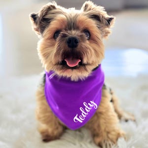 Personalized Purple Dog Bandana: Custom Pet Name Tie-On or Over the Collar Scarf