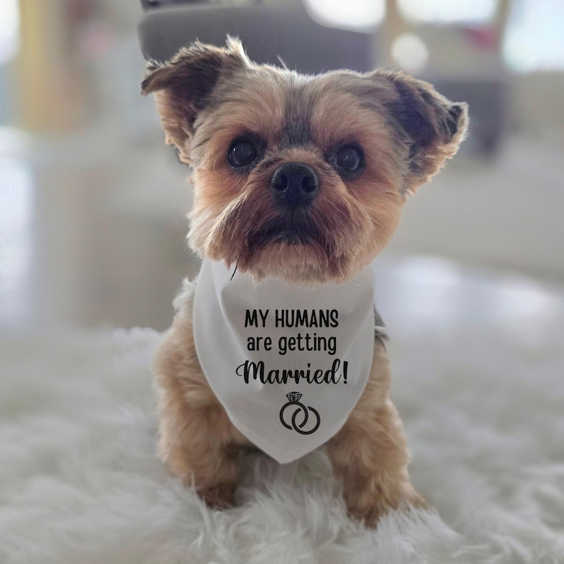 My Humans Are Getting Married Dog Bandana, Bandana for Wedding