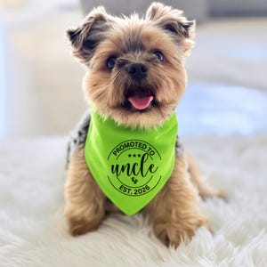 May include: A small, tan and gray dog wearing a bright green bandana. The bandana has the text "PROMOTED TO UNCLE EST. 2026" in a black circular design. The dog is sitting on a white, fluffy surface.