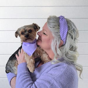 May include: A Yorkshire Terrier dog wearing a lavender polka dot bandana is held by a person wearing a matching lavender sweater and headband. The dog has brown and black fur. The headband and bandana have white polka dots.