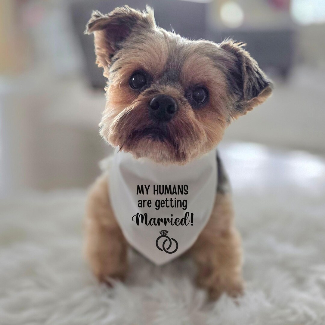 My Humans Are Getting Married Dog Bandana, Bandana for Wedding