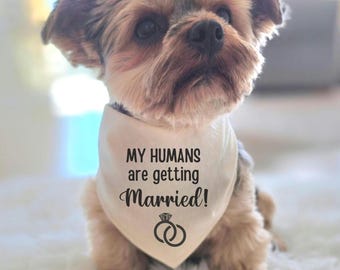 My Humans are Getting Married Dog Bandana: Natural Cotton Tie on Wedding Photo Prop