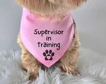 Supervisor in Training Dog Bandana, Pink Tie-On Pet Scarf, Funny Puppy Trainer Accessory