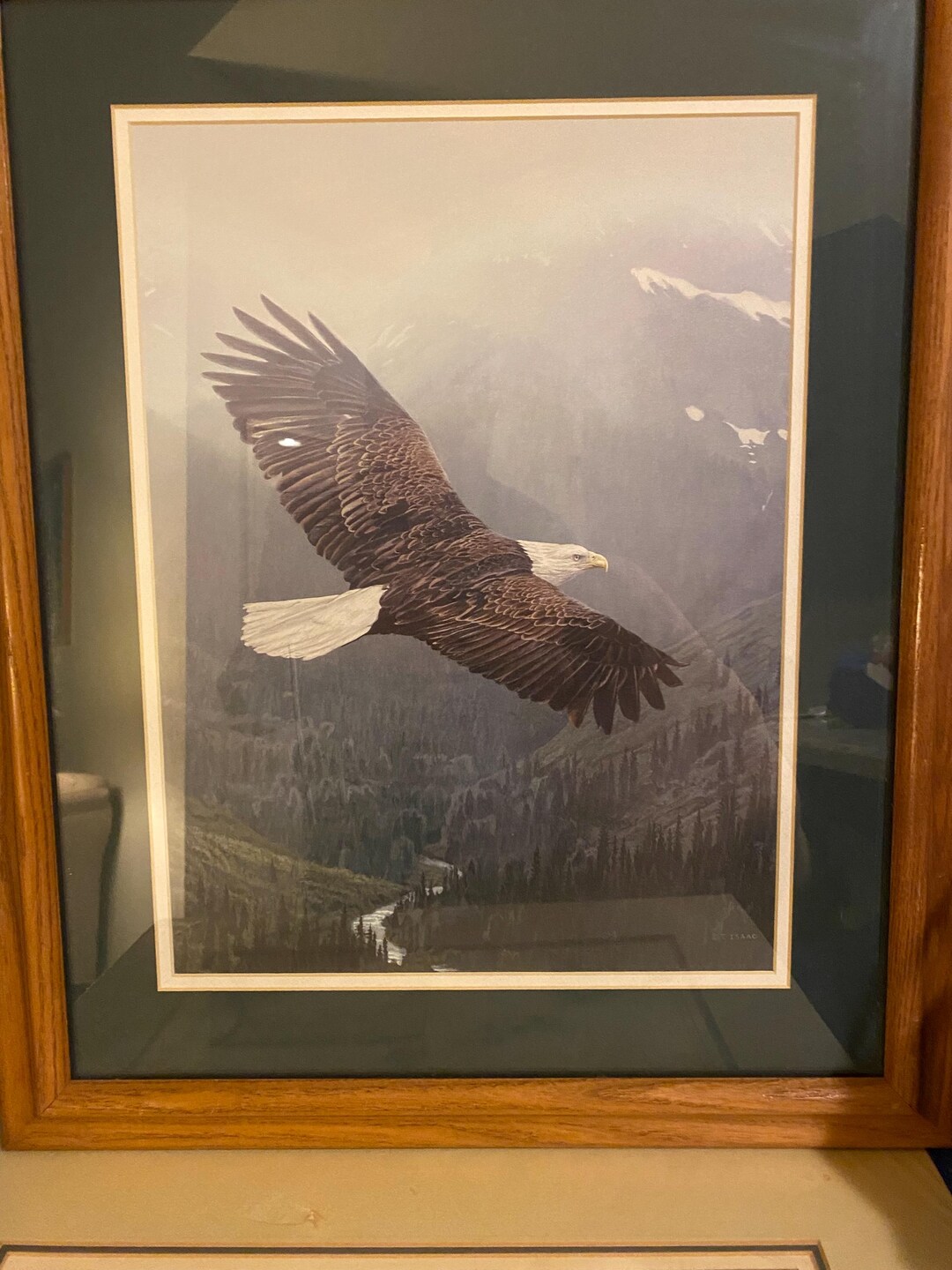 Soaring Eagle Print - Etsy