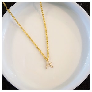 Delicado collar con inicial de alambre / Ideal para combinar con otras joyas / Joya minimalista y sencilla con placa familiar