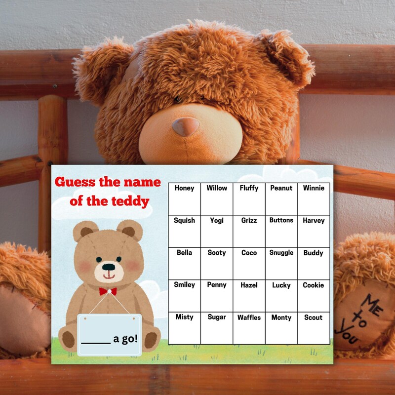 Guess The Teddy Name Etsy UK