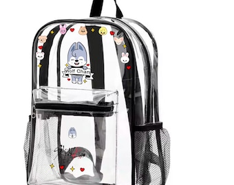 Stray Kids スタジアムツアーバッグを制覇 – クリア Kpop コンサート