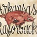 Arkansas Razorback - 11x14