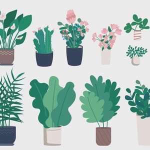 May include: A collection of twelve potted plants in various sizes and shapes, featuring green foliage, pink and white flowers, and cacti. The plants are housed in diverse containers including solid-colored, patterned, and textured ceramic pots.
