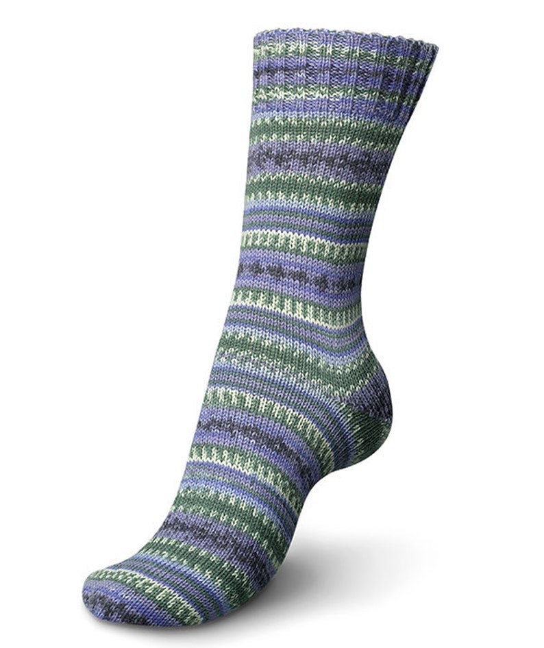 Regia Sock Yarn Design Line by Arne /& Carlos #3658 100g459yd