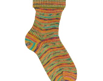 Opal Sock Yarn Lieblingsplatz 4-ply superwash 100g/465yds #11461 FREE shipping (any two+)