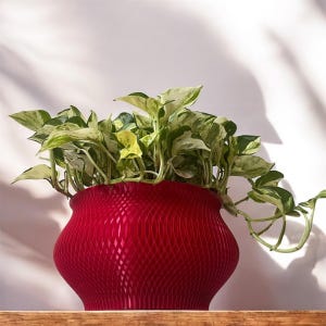 Woven Cache Pot Architecture Planter