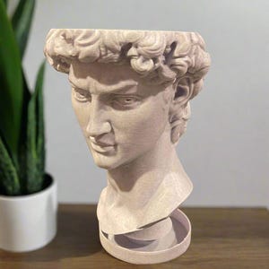 David Bust Planter with Drip Base