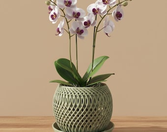 Bella Orchid Planter