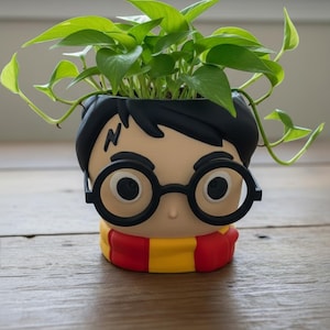 Wizard Potter Planter
