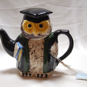 Tony Carter Suffolk Pottery Handmade Collectible Wise Owl Ceramic Teapot