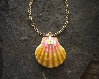 Sunrise Shell, Sunrise Shell Necklace, Sunset Shell, Pink Shell, Pink Shell Necklace, Kauai, Hawaii Shell, Kauai Necklace, Hawaii Necklace