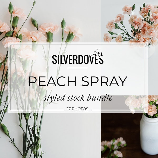 Peach Spray Carnation Styled Stock Photo Bundle / Social Media Branding / 17 Styled Stock Images / Pretty Floral Collection / Silverdoves